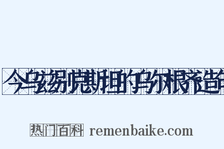 今乌兹别克斯坦的乌尔根齐造句是什么意思的图片